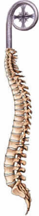 Bishop's Spine
