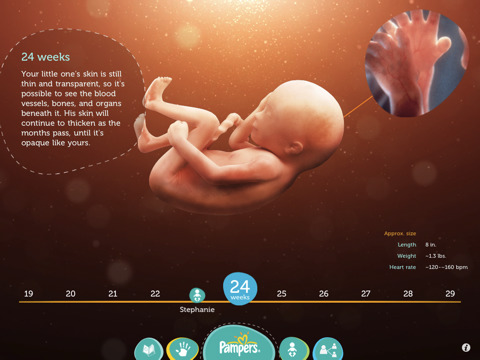 iPad App showing baby development